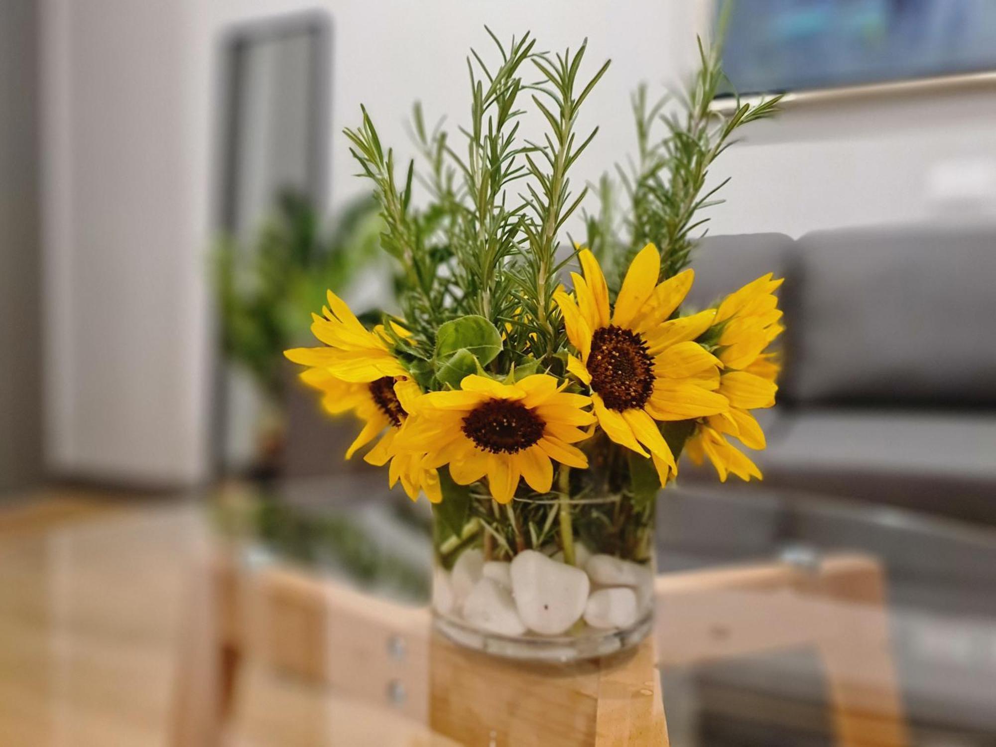 Rosemarine Villas Durres Ngoại thất bức ảnh